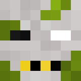 The shop owners Minecraft face
