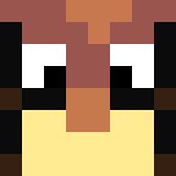 Minecraft players skin