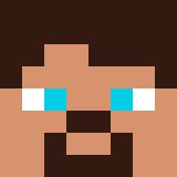 Minecraft players skin