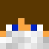 Minecraft players skin