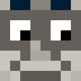 Minecraft players skin