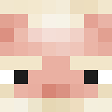 auctioneer icon