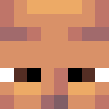 Minecraft players skin