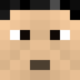 Minecraft players skin