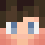 Minecraft players skin