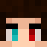 Minecraft players skin