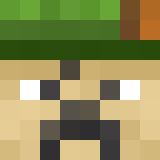 auctioneer icon
