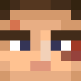 Minecraft players skin