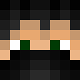 Minecraft players skin