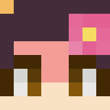 Minecraft players skin