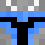 Minecraft players skin