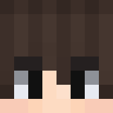 Minecraft players skin