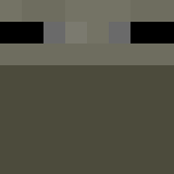 Minecraft players skin