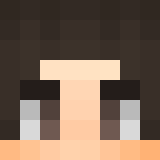 Minecraft players skin