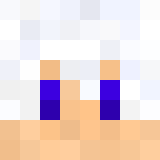 Minecraft players skin