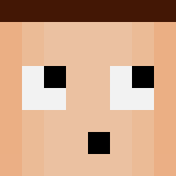 Minecraft Avatar Head