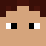 Minecraft players skin