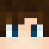Minecraft players skin