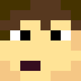 Minecraft players skin