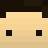 Minecraft players skin