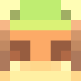 Minecraft players skin