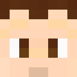 Minecraft players skin