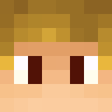 Minecraft players skin