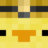Minecraft players skin