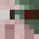 Minecraft players skin