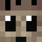 Minecraft players skin