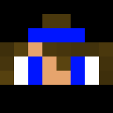 Minecraft players skin
