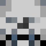 Minecraft players skin