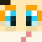 Minecraft players skin