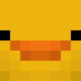 its_Rapt0r Skin