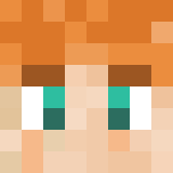 Minecraft players skin