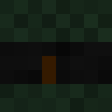 auctioneer icon