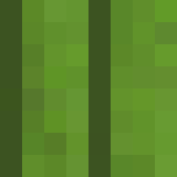 TheAmazingCactus