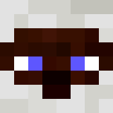 Tête de 
