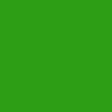 GreenCracker11
