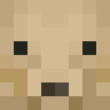 auctioneer icon
