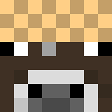 Tête de _Sugaku_