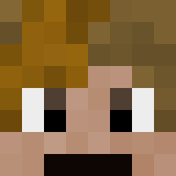 auctioneer icon
