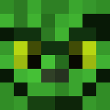 Minecraft players skin
