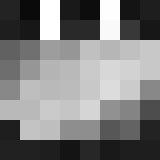 Minecraft players skin