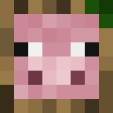 bidder minecraft icon