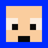 The shop owners Minecraft face