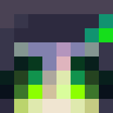 Minecraft players skin