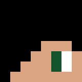 Minecraft players skin