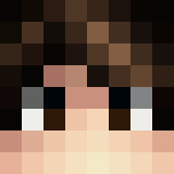 Minecraft players skin