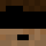 shadowPUUNCH